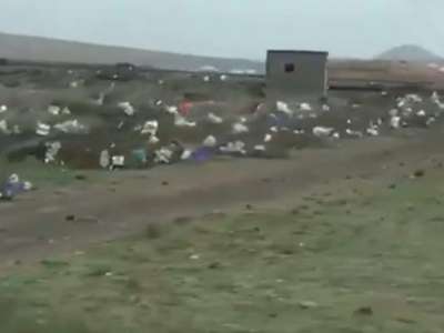 Why has it 'rained' plastic in Lanzarote due to storm Filomena?