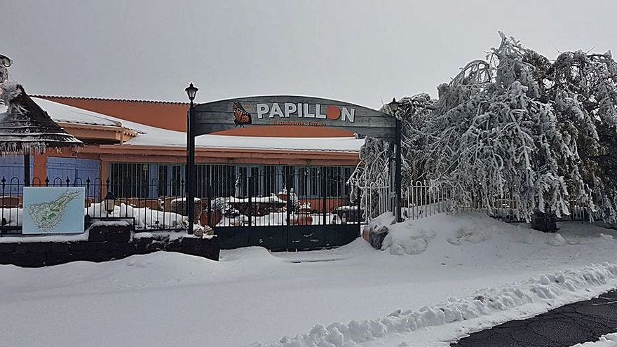 Teide restaurants send out an SOS for help