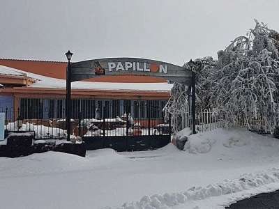 Teide restaurants send out an SOS for help