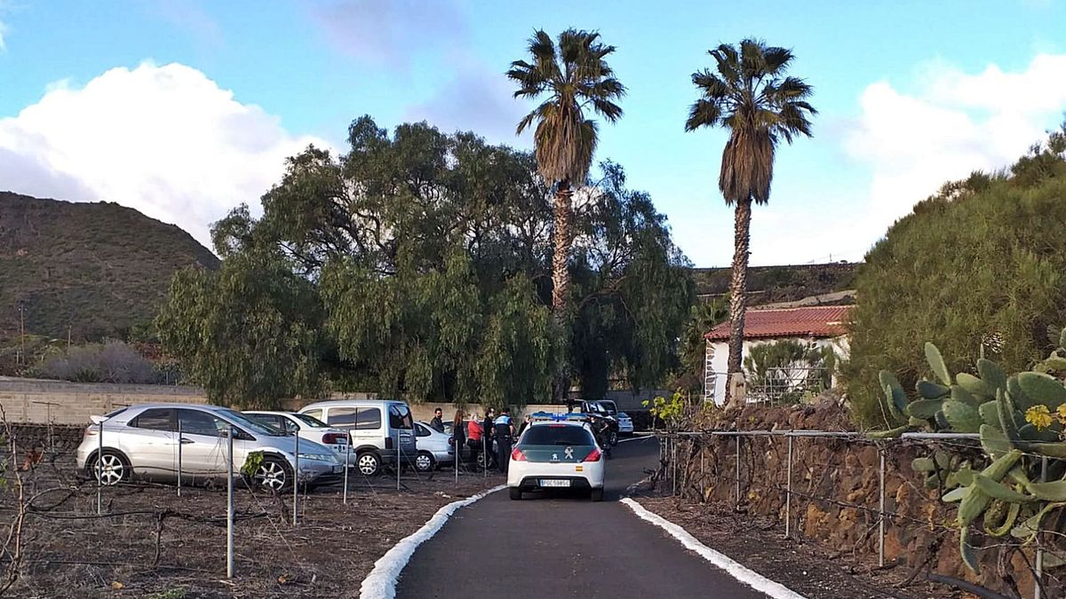 4 arrested and 30 fined at a party on the South of Tenerife