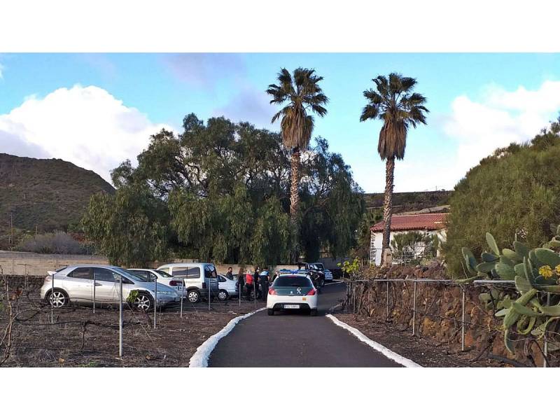 4 arrested and 30 fined at a party on the South of Tenerife
