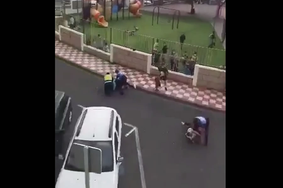 VIDEO: Fight between British couple and Local Police in front of kids in park