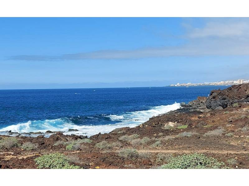 Cloudy in the north, sunny in the south with some scattered showers today