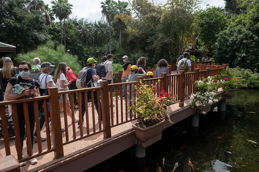 The long awaited reopening of Loro Parque