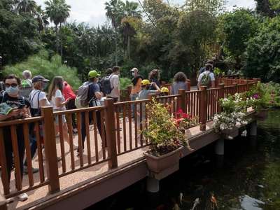 The long awaited reopening of Loro Parque