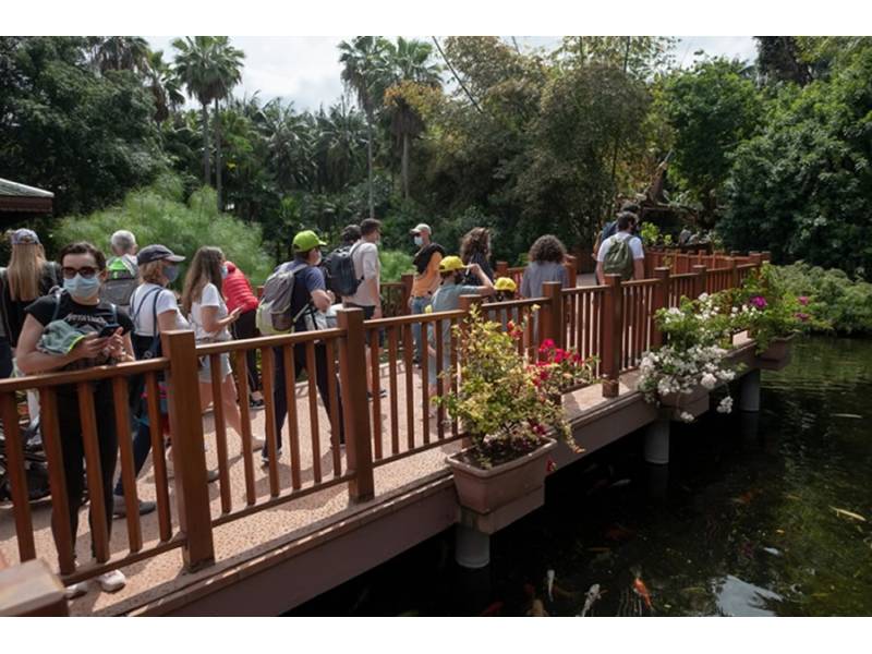 The long awaited reopening of Loro Parque