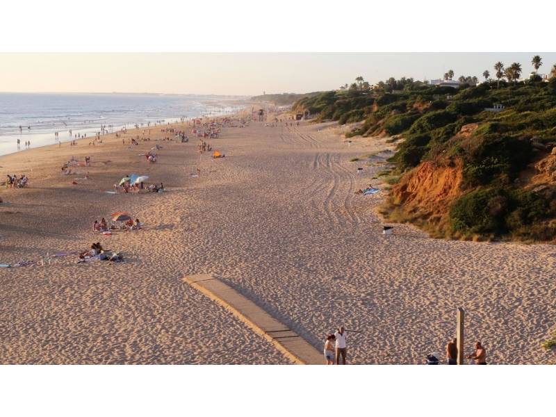 Hunt for Anna and Olivia Day 14: Woman claims to have seen them in Cadiz