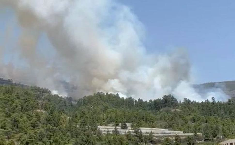 Forest fire in Arico in the south east of Tenerife