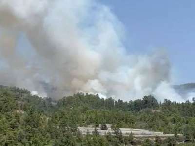Forest fire in Arico in the south east of Tenerife