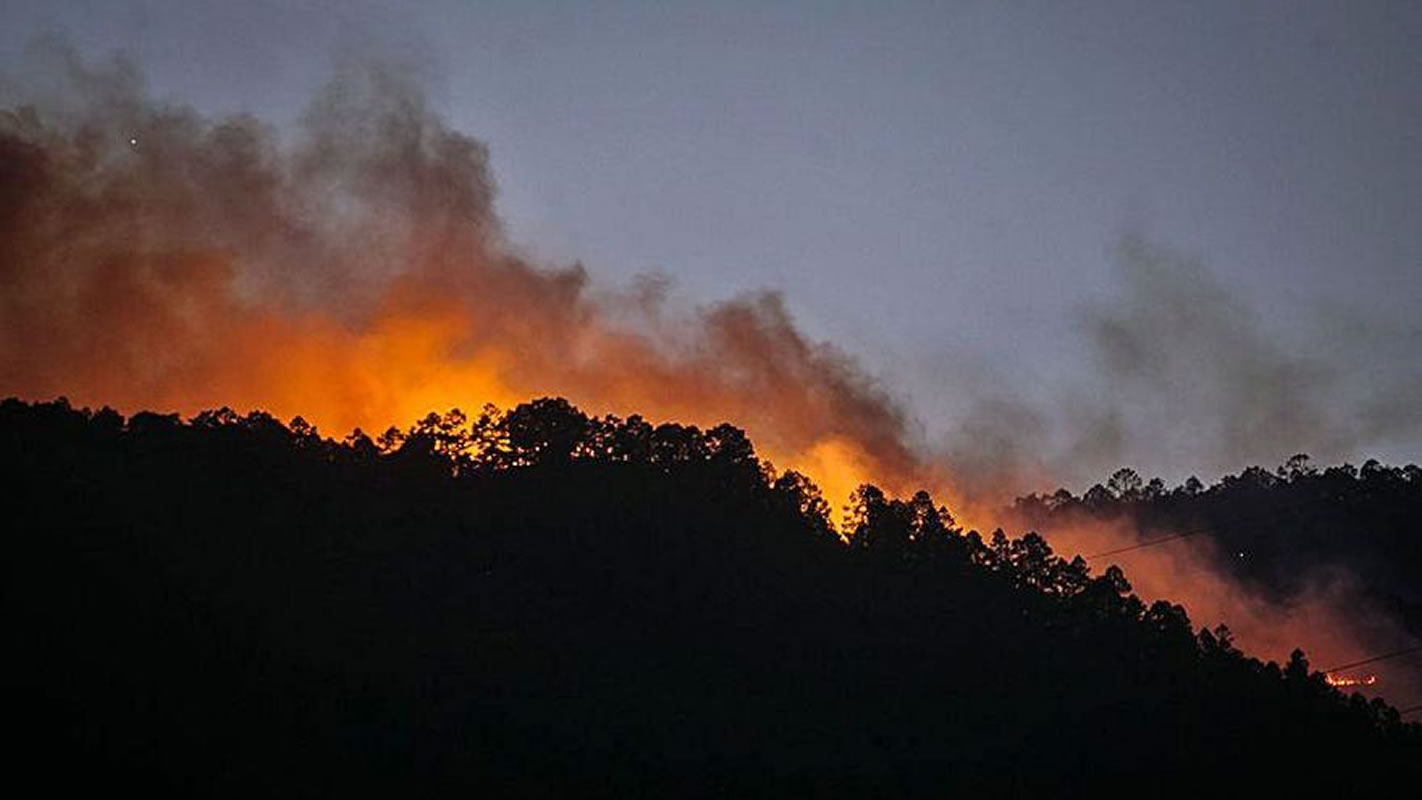 The fire advances through the pine forest after burning 600 hectares in Arico