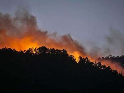 The fire advances through the pine forest after burning 600 hectares in Arico