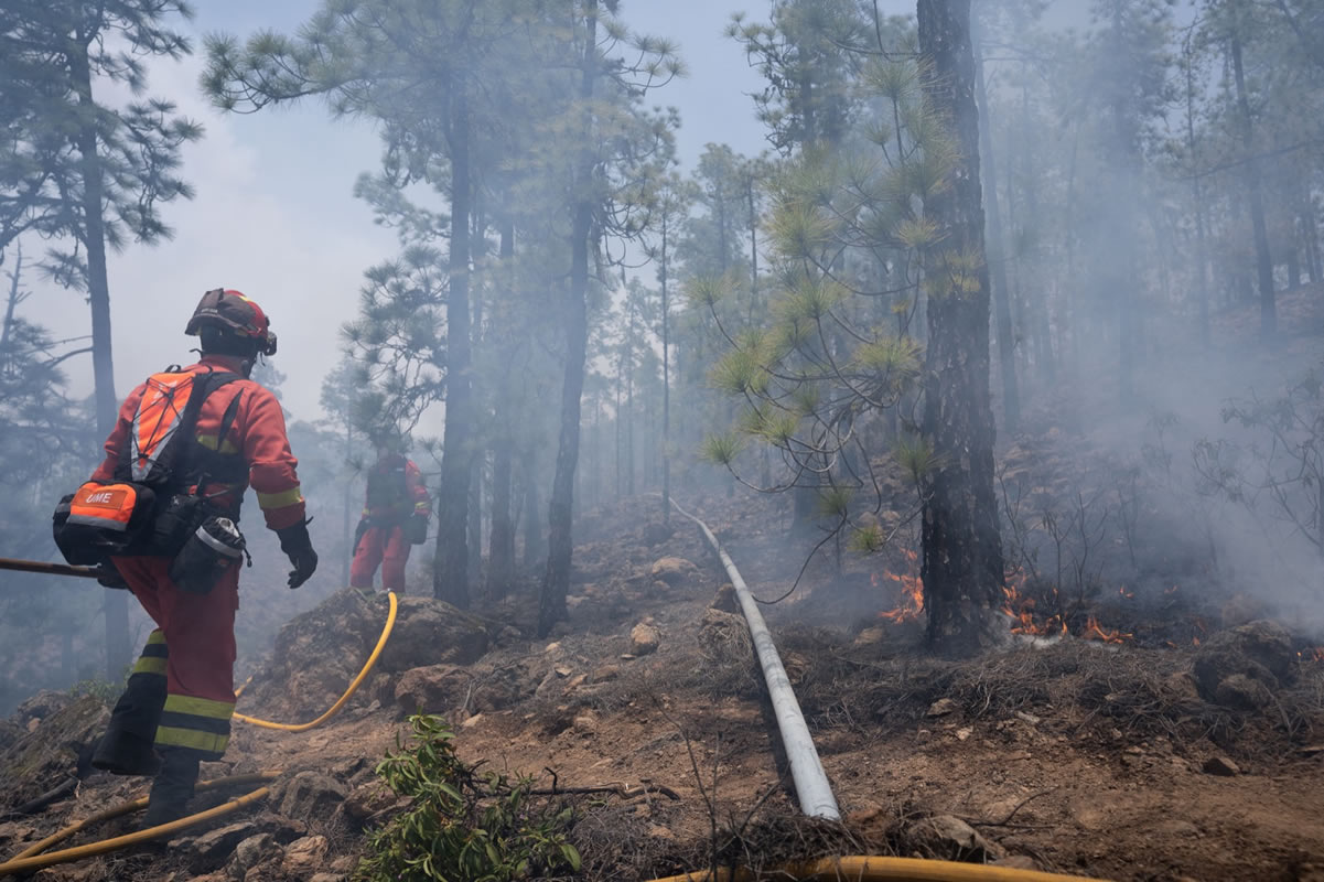 FOREST FIRE UPDATE: Fire now covers 3,300 hectares in Tenerife