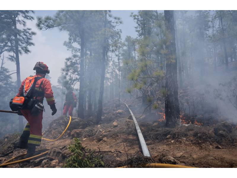 FOREST FIRE UPDATE: Fire now covers 3,300 hectares in Tenerife