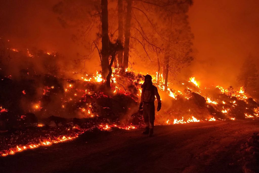 FOREST FIRE UPDATE: Affected area and perimeter are stabilised