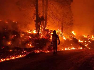 FOREST FIRE UPDATE: Affected area and perimeter are stabilised