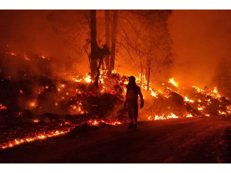 FOREST FIRE UPDATE: Affected area and perimeter are stabilised