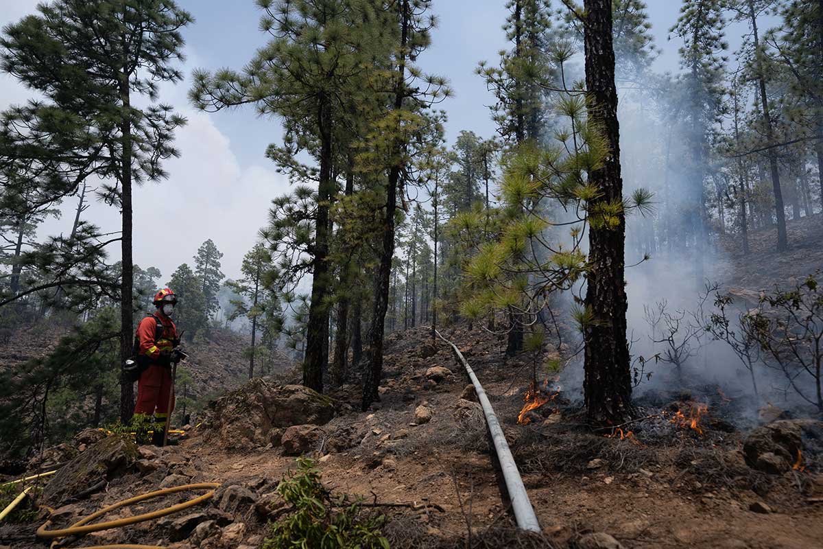 Tenerife forest fire is finally under control