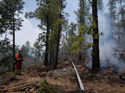 Tenerife forest fire is finally under control
