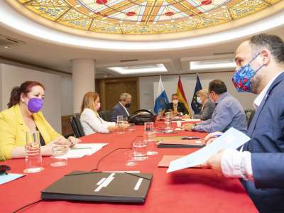 The Governing Council is studying options to stop spread of virus in Tenerife