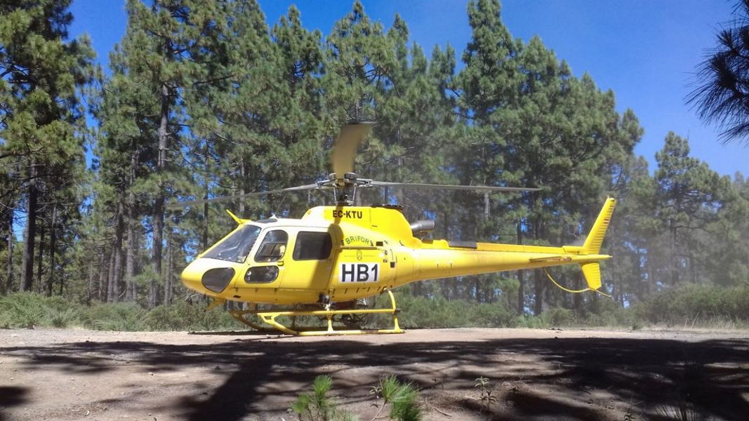 Forest fire reported in the pine forests of Arico in Tenerife