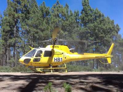 Forest fire reported in the pine forests of Arico in Tenerife