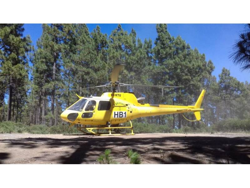 Forest fire reported in the pine forests of Arico in Tenerife
