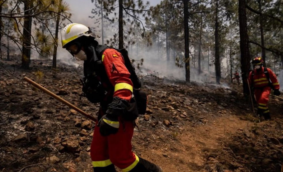 Alert for risk of forest fires ends tonight