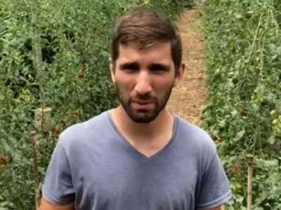 Tenerife farmer sells 8,000 kilos of watermelons after video appeal goes viral