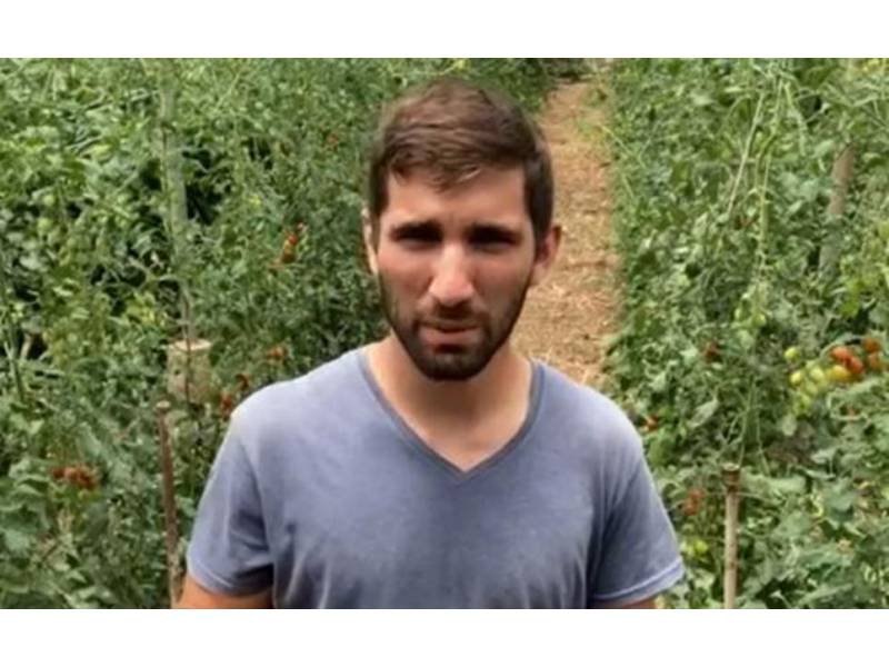 Tenerife farmer sells 8,000 kilos of watermelons after video appeal goes viral