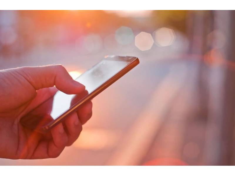 Cabildo launches a new mobile APP with more than 4,000 job offers on it