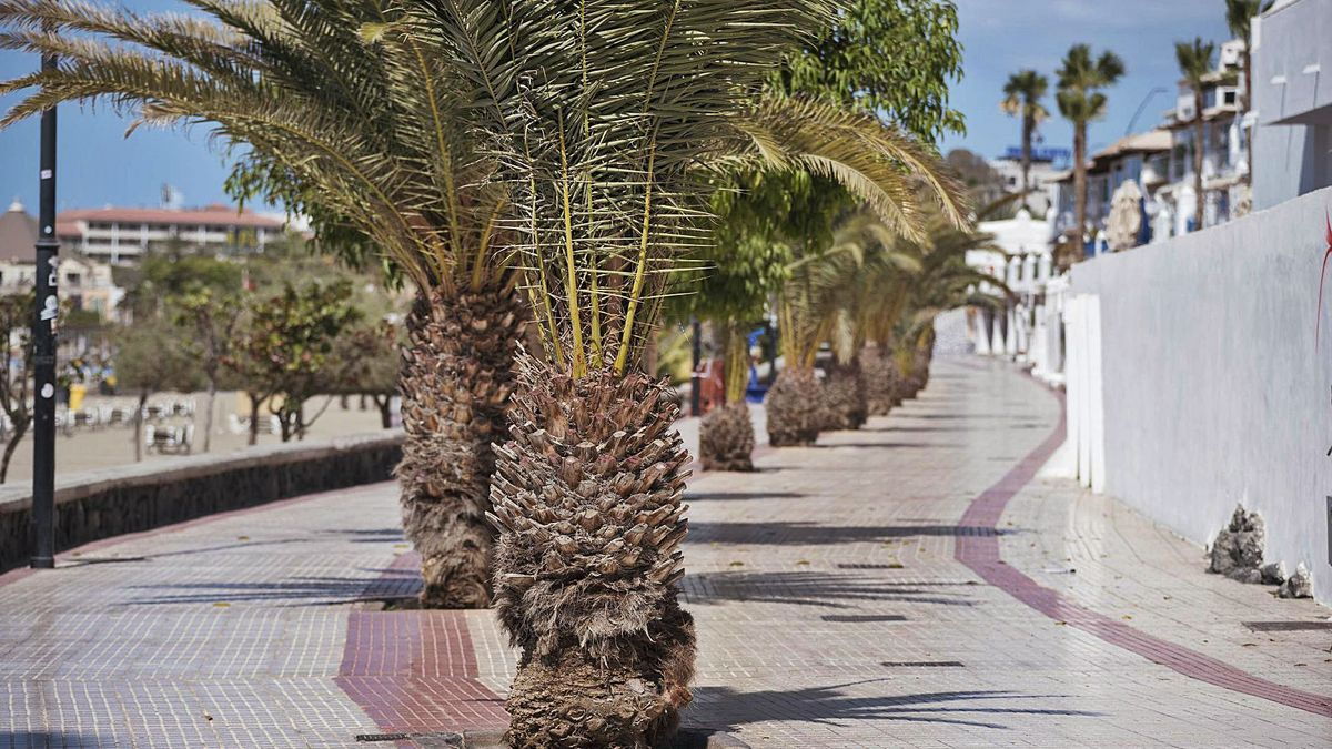 Arrested after knocking over and killing a man in his 80s with a scooter in Los Cristianos