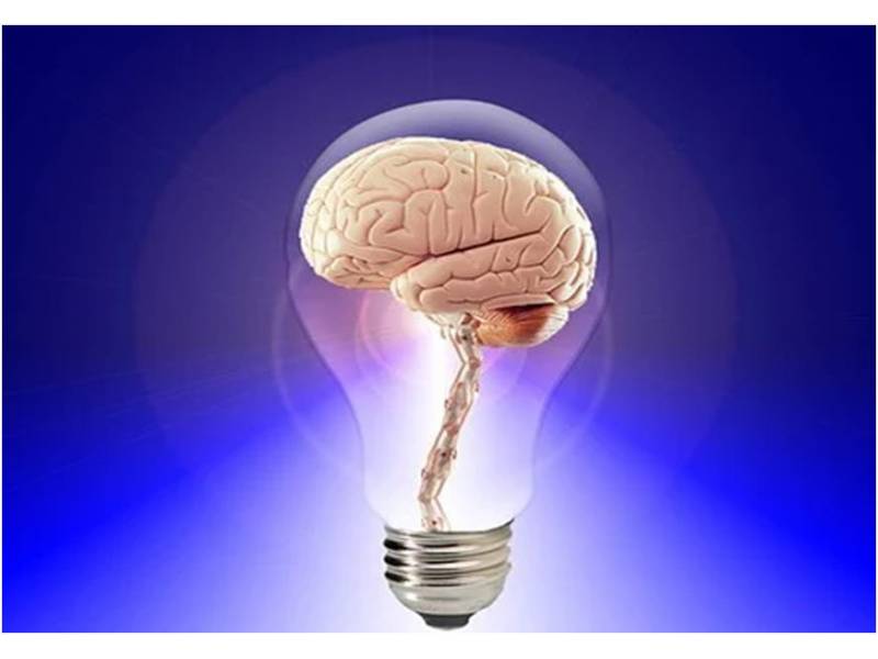 Activities that help keep your brain sharp and healthy