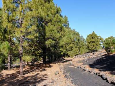 Forest trails in Tenerife reopen with some limits after fire alerts reduced