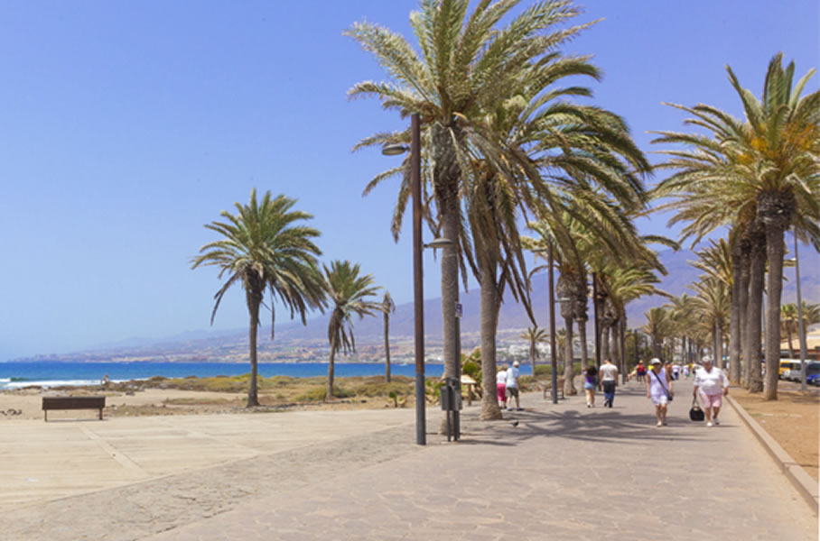 Three injured by falling palm tree in Playa de Las Americas