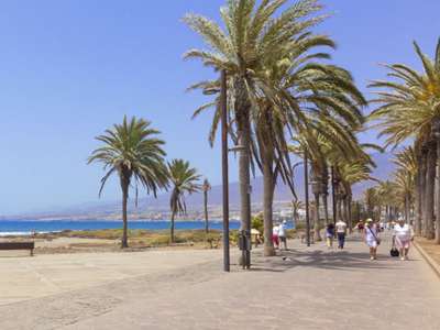 Three injured by falling palm tree in Playa de Las Americas
