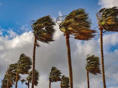 Weather warning for 75km/h winds for the next 48 hours 