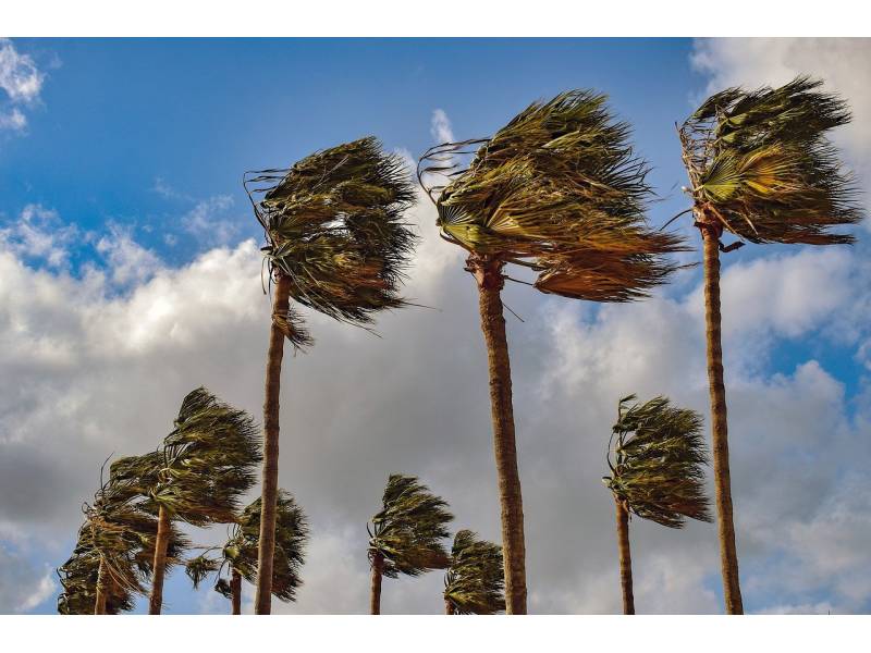 Weather warning for 75km/h winds for the next 48 hours 