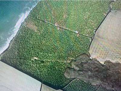 VIDEO: The second lava flow is now only 30 metres from the sea