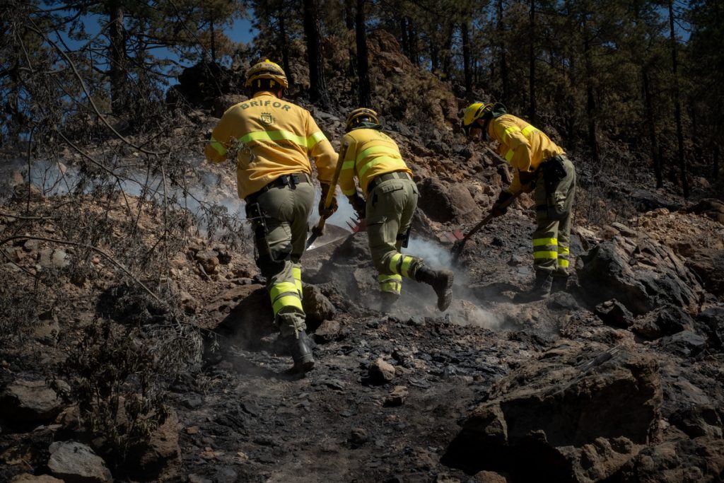 Arico forest fire that started in May in Tenerife is now finally fully extinguished