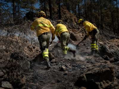 Arico forest fire that started in May in Tenerife is now finally fully extinguished