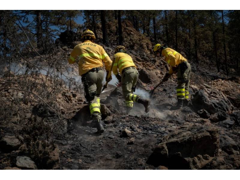 Arico forest fire that started in May in Tenerife is now finally fully extinguished