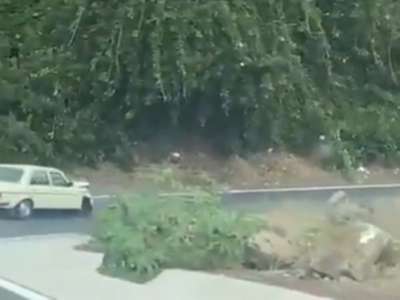 VIDEO: Driver continues with front wheel missing until he crashes in Tenerife