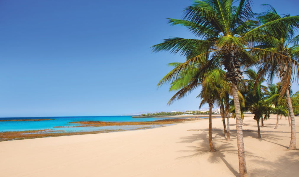 Can the Canary Islands be the new Hawaii for Americans?
