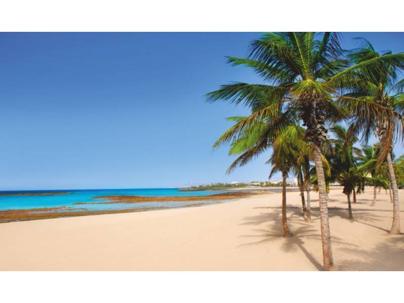Can the Canary Islands be the new Hawaii for Americans? Can the Canary Islands be the new Hawaii for Americans?