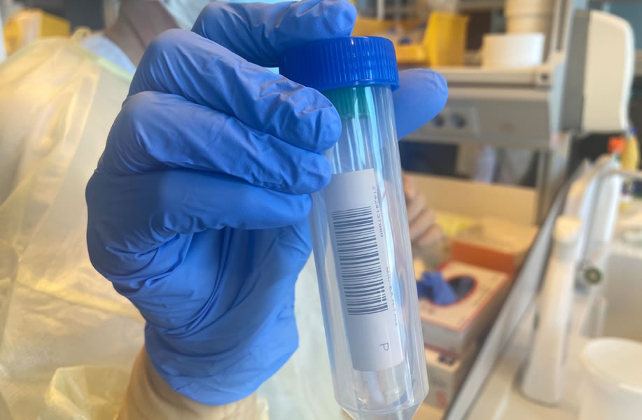 Two possible cases of omicron variant in the Canary Islands are being sequenced