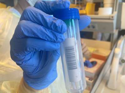 Two possible cases of omicron variant in the Canary Islands are being sequenced