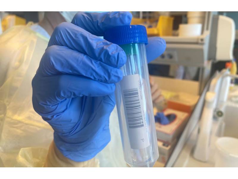 Two possible cases of omicron variant in the Canary Islands are being sequenced