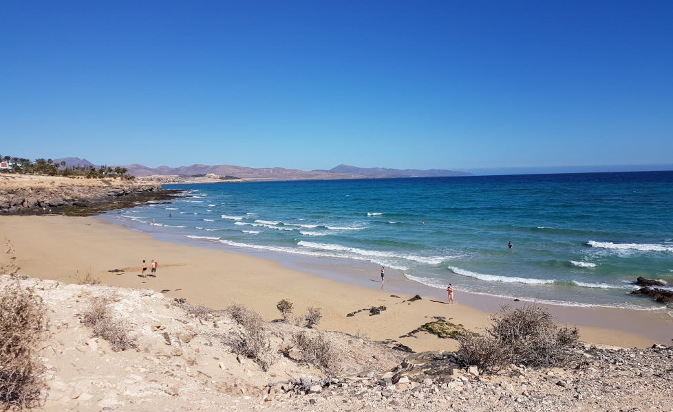 Dead body of a bather found floating in the sea by a man on a jetski