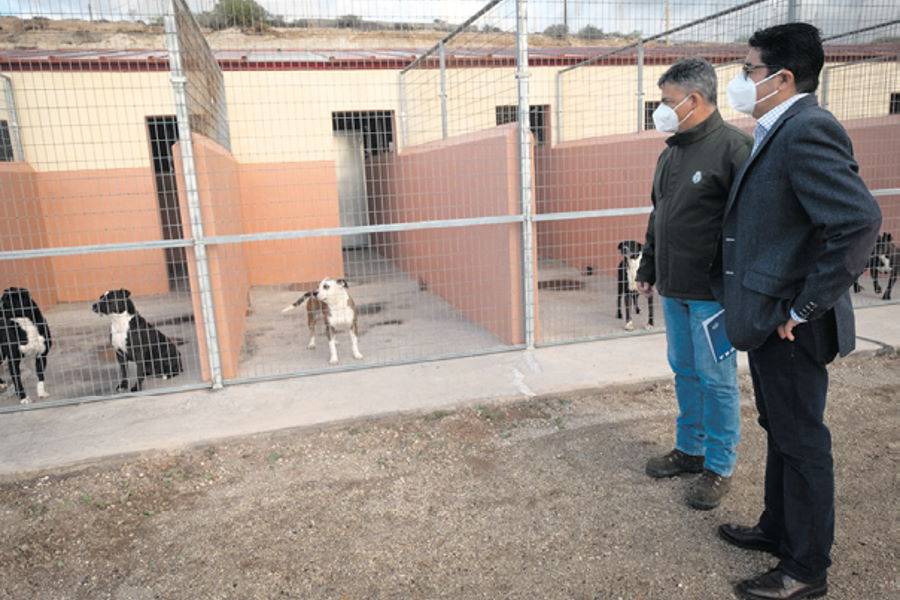 Cabildo allocate over one million euros for animal welfare in Tenerife