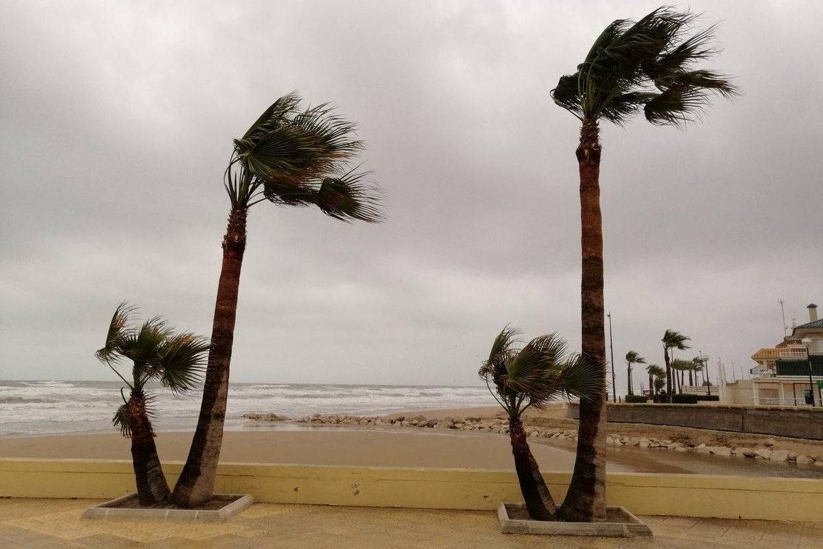 The Canary Islands start February with a mix of snow, rain, wind and haze